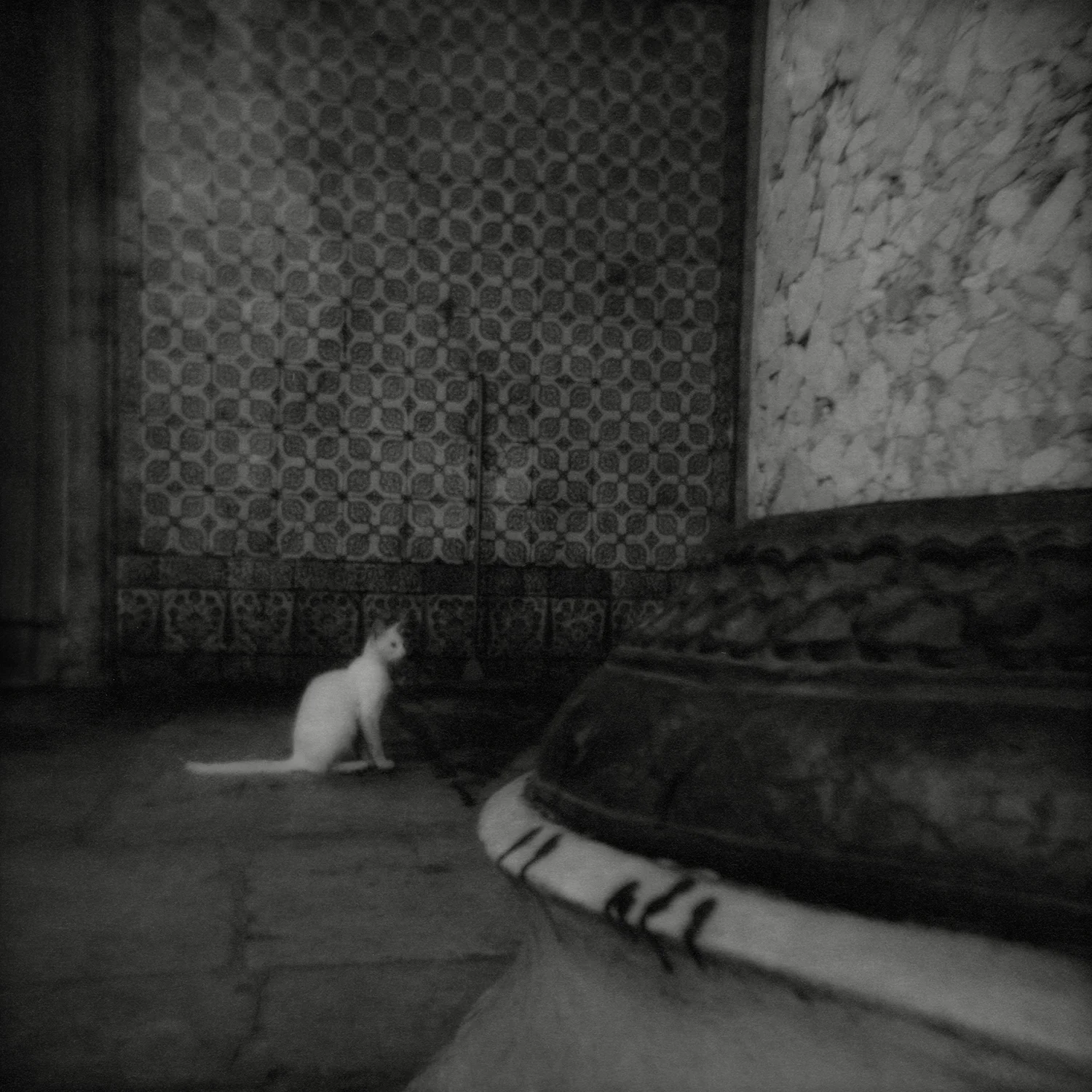 Flore Photomed 2017 ART PHOTOGRAPHIE 