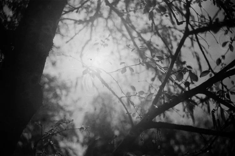 Sur la lumière - Notes, par Nina Rendulic