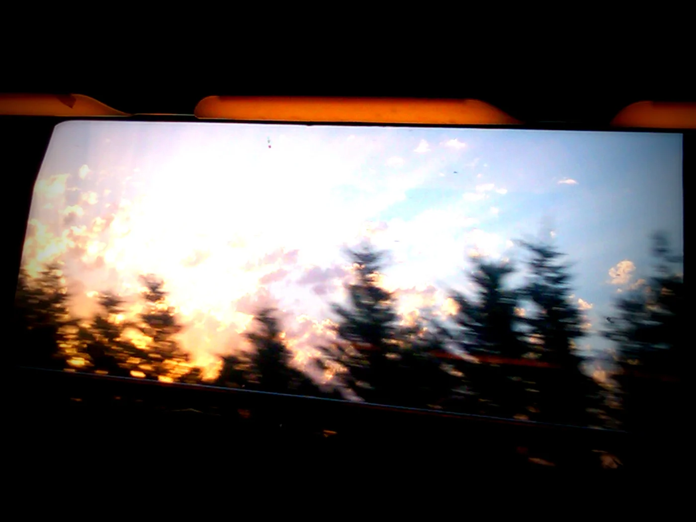 © candice nguyen 2.jpg