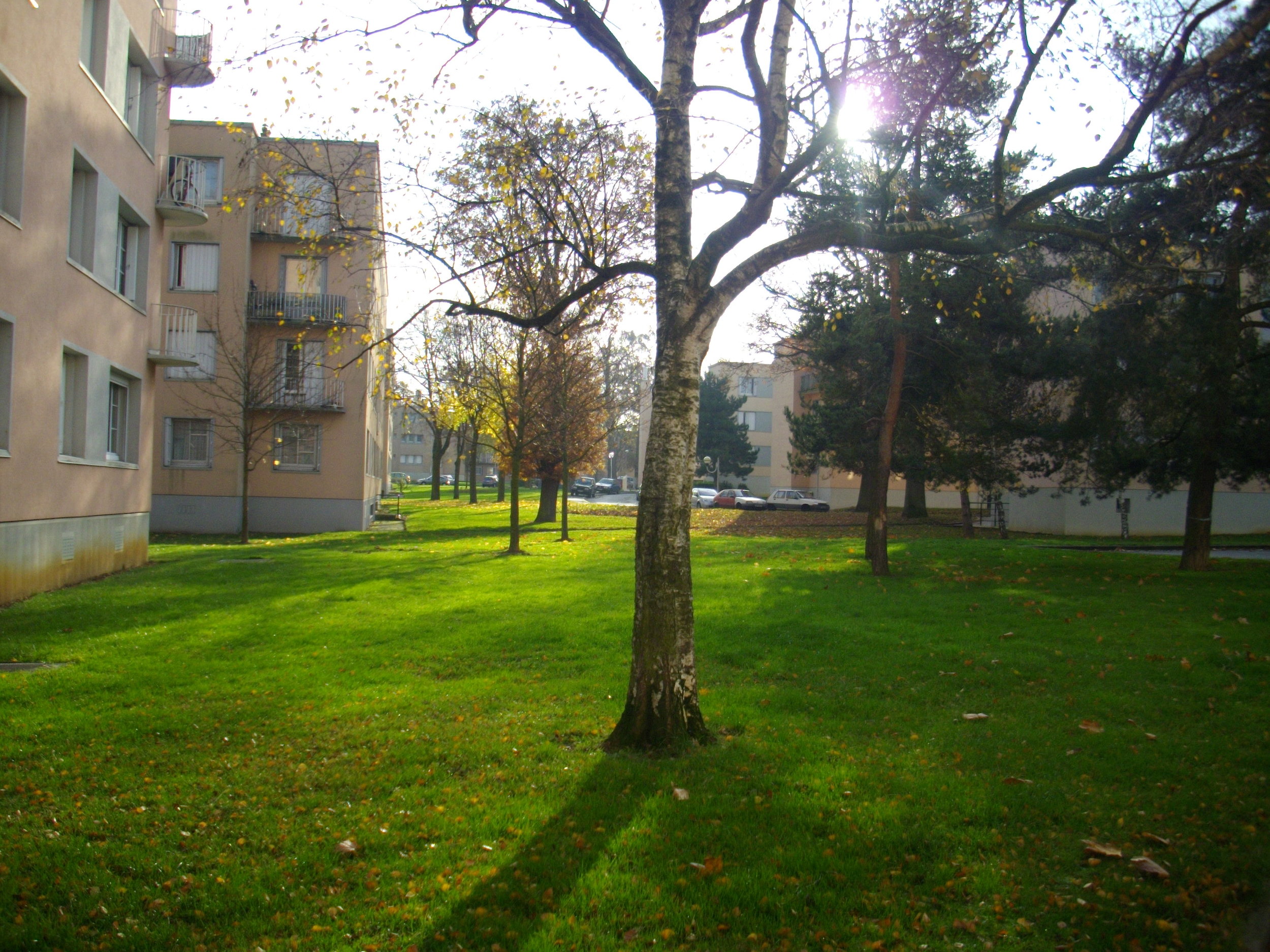 Non au démembrement de la cité-jardin de la Butte Rouge à Châtenay-Malabry