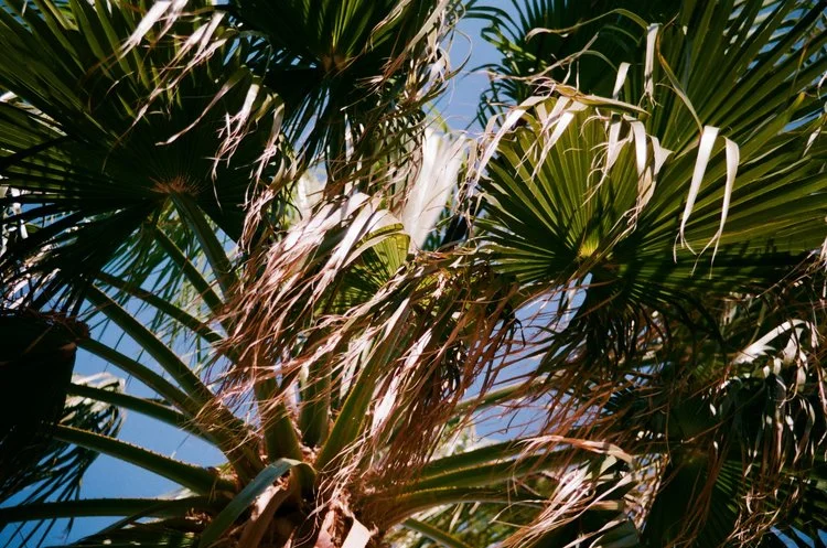 Sur le vide - Notes, par Nina Rendulic