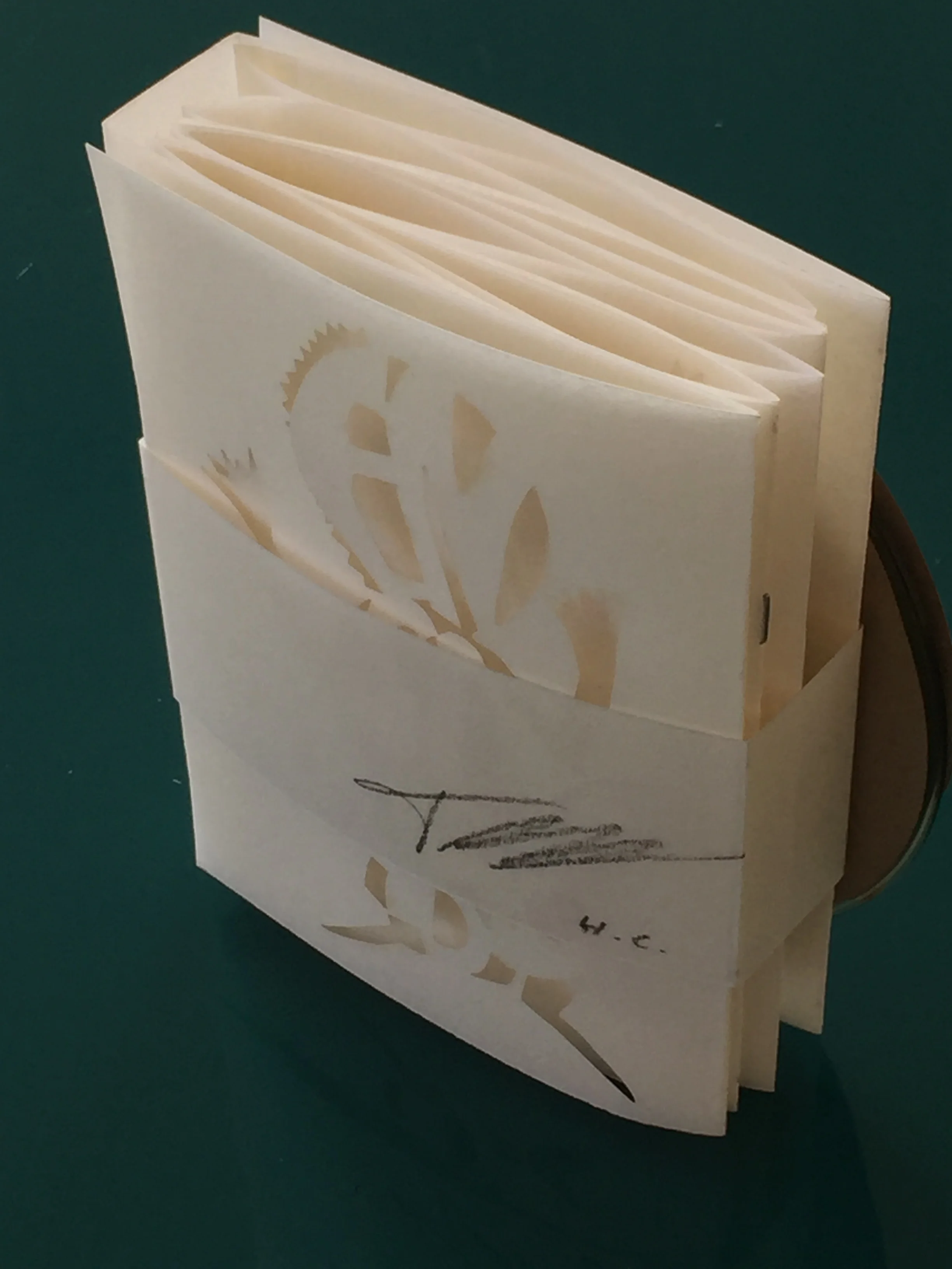 Ensimismado, le livre d'artiste pour Tristan Macé