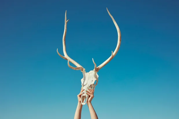 Sorry, No Vacancy de et avec Kourtney Roy 