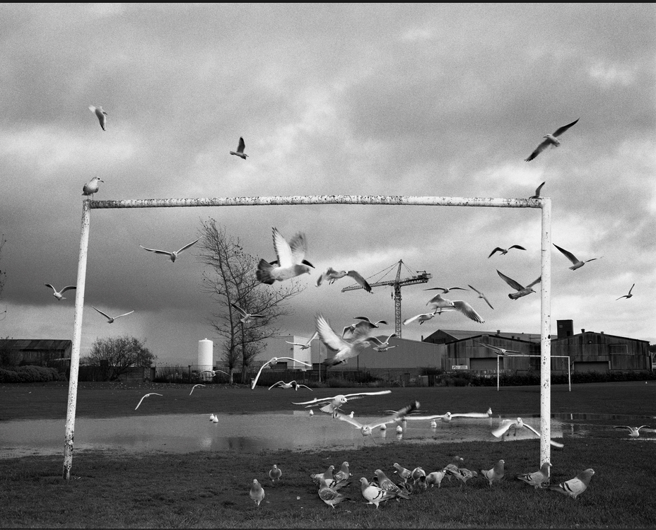 A Mérignac, la photo s'offre un remède de Cheval  1/2, par Pascal Therme
