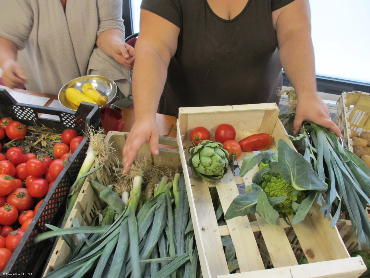 Replacer l’alimentation au cœur de notre démocratie : pour de vrais états généraux de l'alimentation 