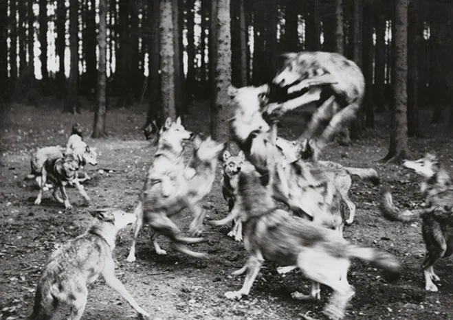Viens reposer tes paupières chez Agnès Geoffray 