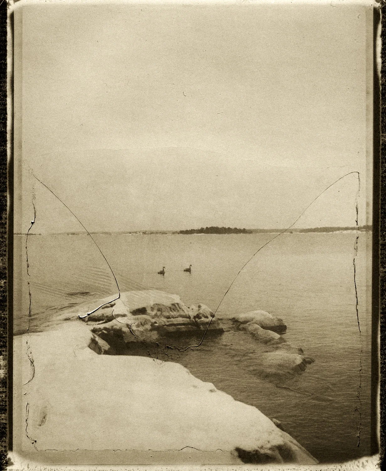 En quête des ombres disparues avec Thomas Zamolo 