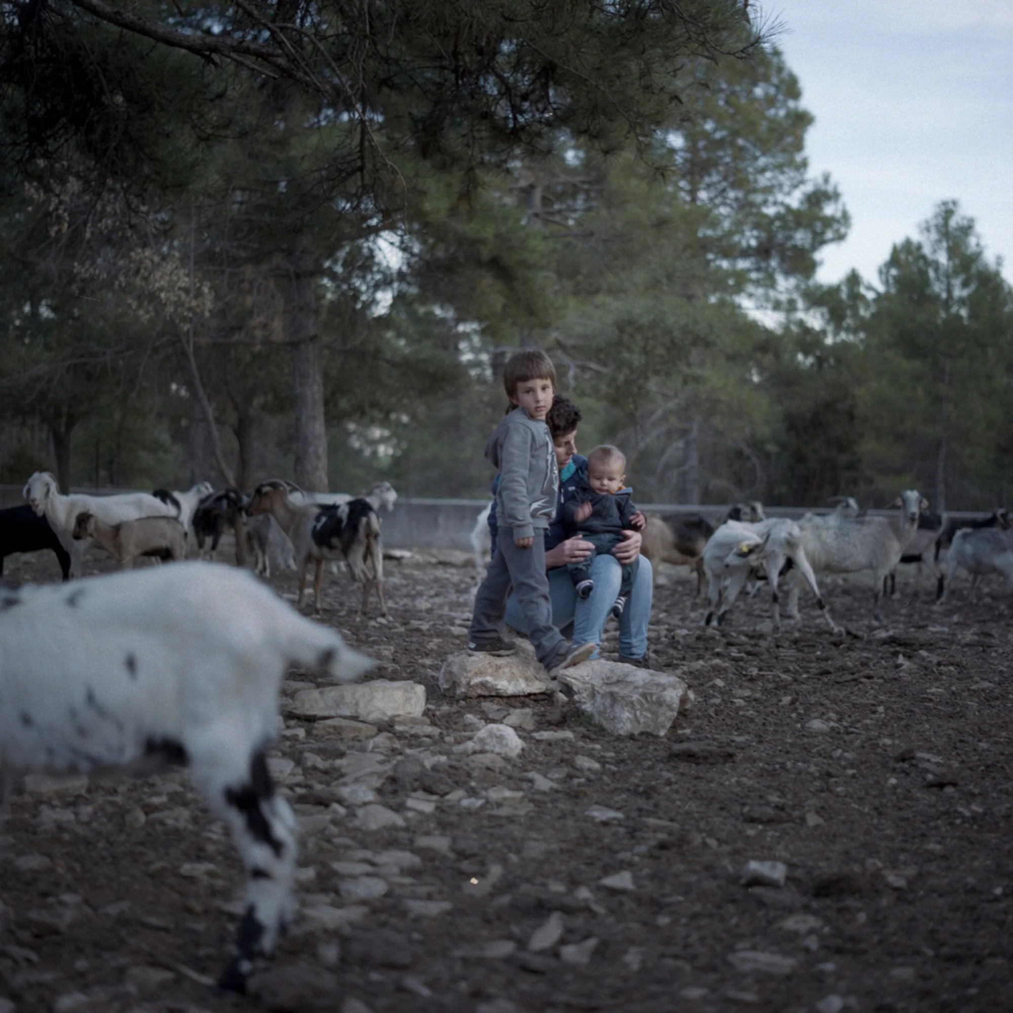 Les enfants du cerf, vie et légende dans la Sibérie espagnole 