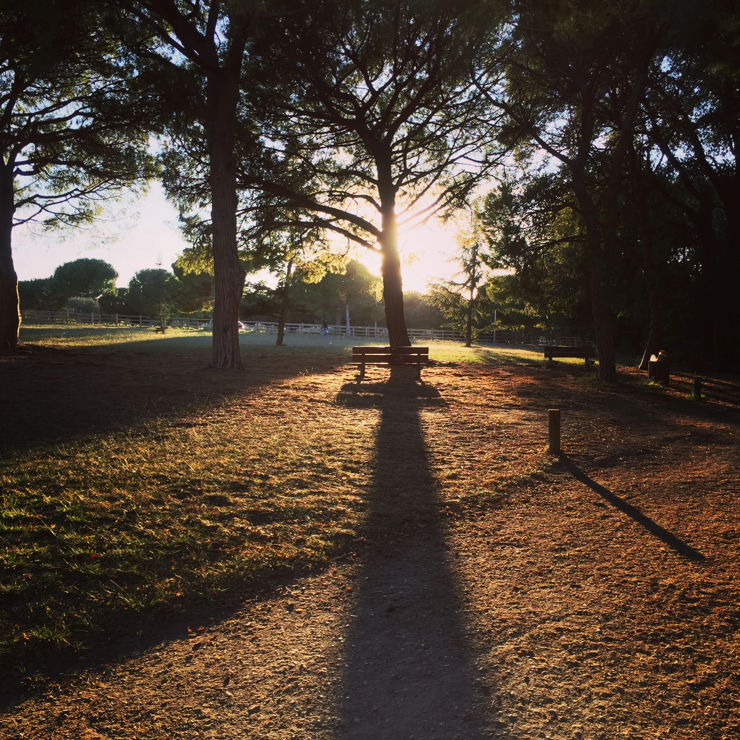 Du jour des morts et de la nuit des vivants, par Arnaud Maïsetti