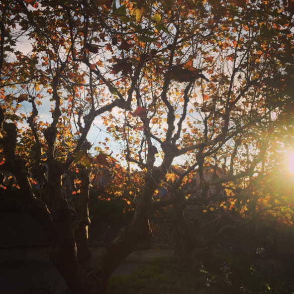 Silhouettes creusées à la surface de soi, par Arnaud Maïsetti