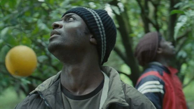 Mediterranea : rencontre avec Koudous Seihon, acteur. Par Olivier Favier