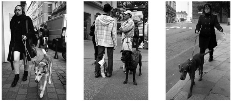 ATLAS DE NANTES 13 : les sardines à l'huile de Noël 