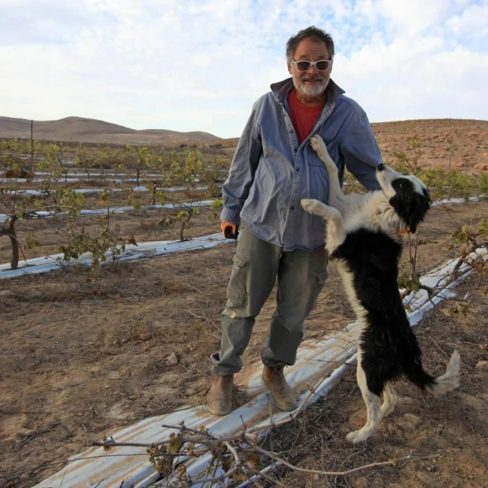 Tzur Shezaf, près de son vignoble. «&nbsp;[Les autorités] ont suggéré que j’installe une clôture électrique, et ils m’en ont apporté 150 mètres. J'ai besoin d'une clôture de deux kilomètres ».