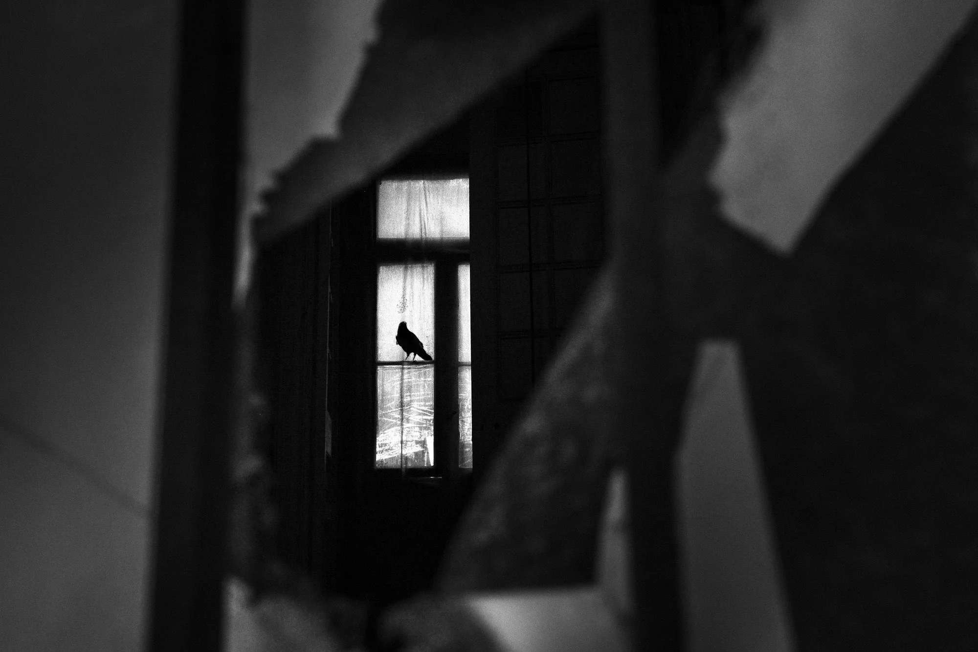 Rethymno (May 8, 2015) © Mehran Khalili