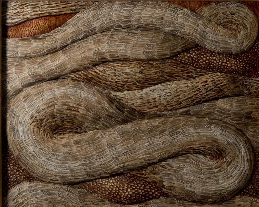 Mon truc en plumes de Kate McGwire 