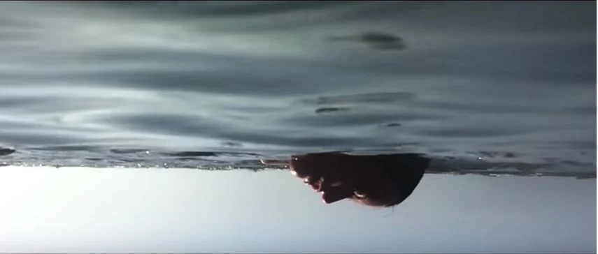 Faiseuse d'histoires, par Marie Cosnay