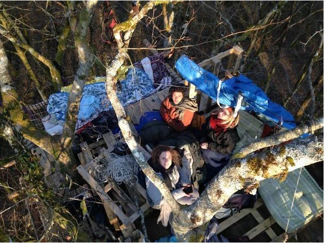 A Bure la forêt est réoccupée !