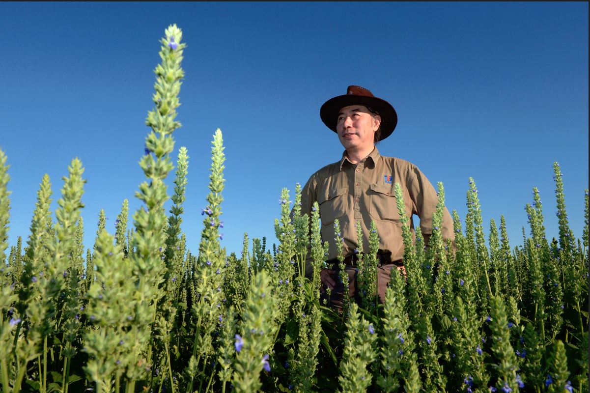Agrobusiness : la Chine achète la Terre 