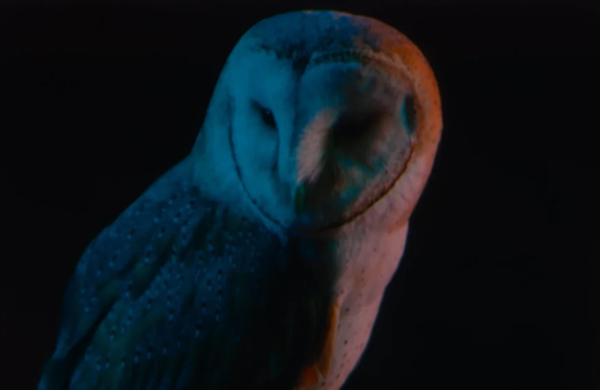 mettre à nu l'indicible avec Jeff VanderMeer, le roi du "weird" en littérature