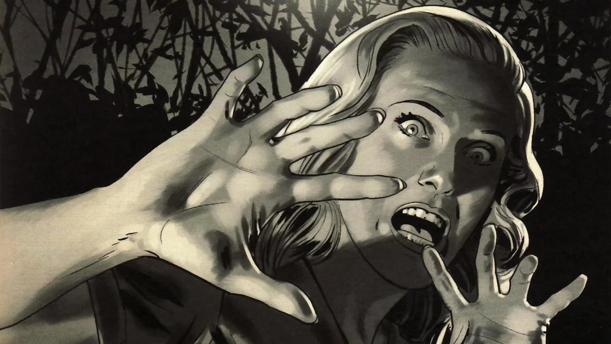 Le Fondu au noir de Brubaker et Phillips