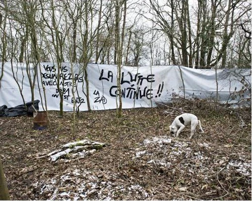 l'expulsion de la ZAD de Notre dame des Landes serait illégale