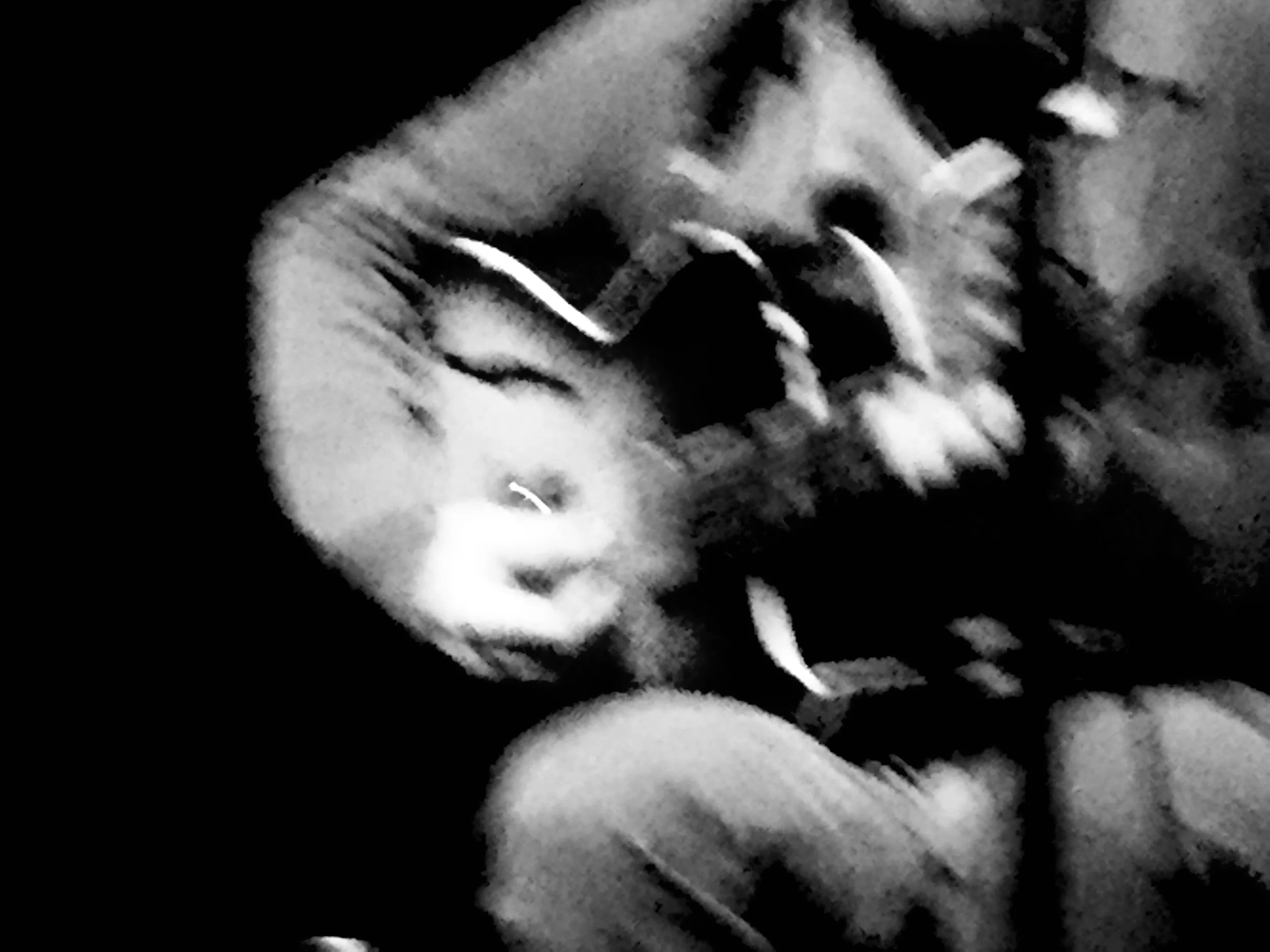 Paradis en mode lent avec Eric Chenaux 