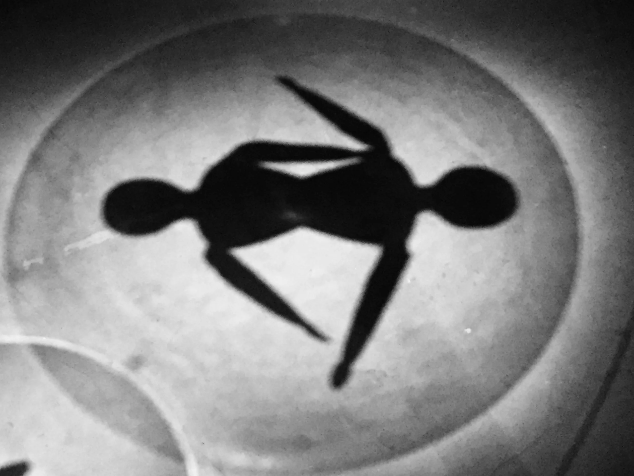 Focus sur les Black Dolls de Maison Rouge avec Richard Maniere