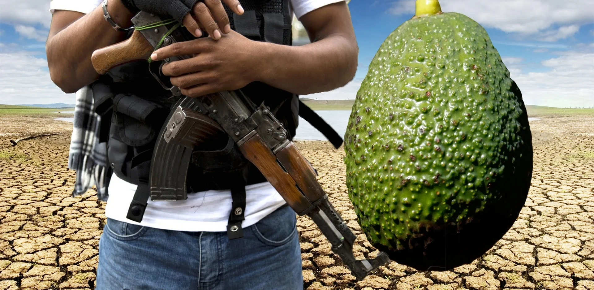 Comment l'avocat est devenu le fruit emblématique du commerce mondial