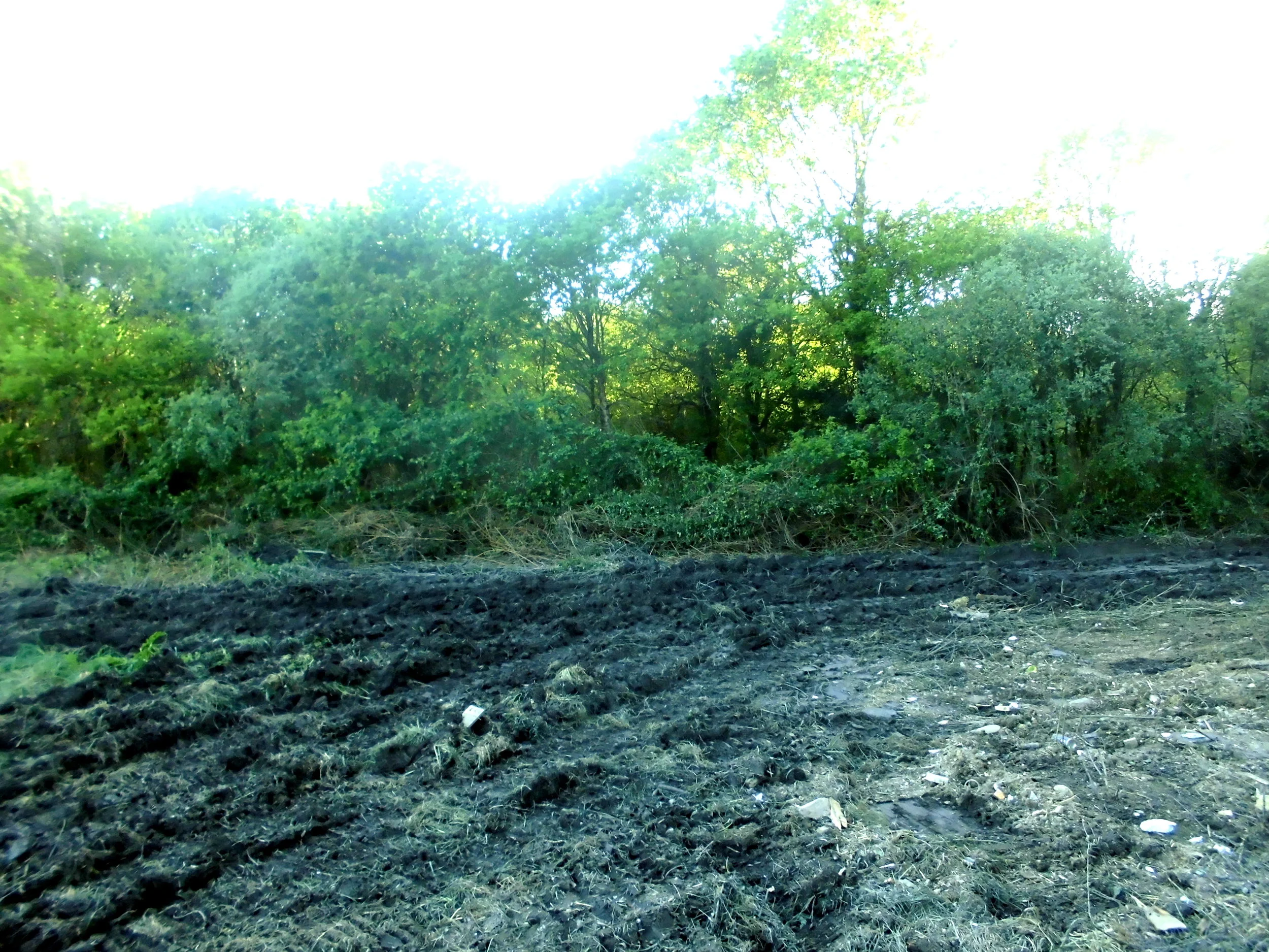 Le bal triste des pelleteuses massacre l’Est de la ZAD
