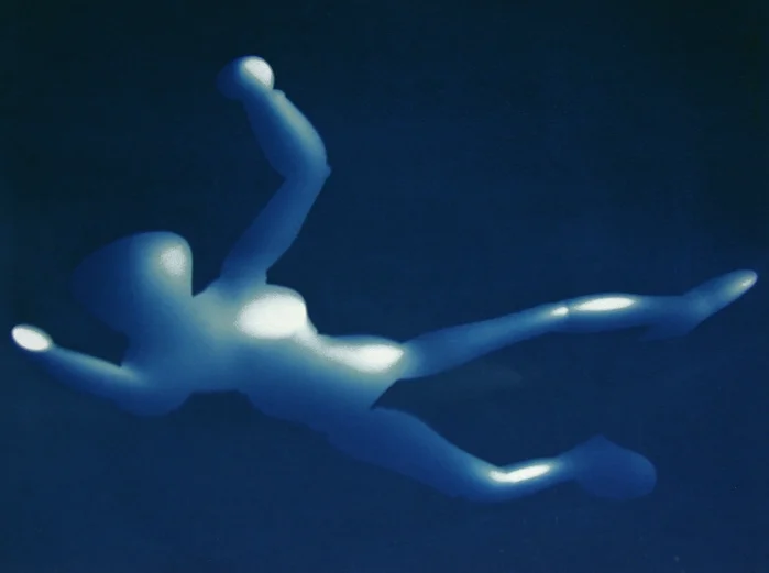 Bienvenue dans les bleus de Nancy Wilson-Pajic