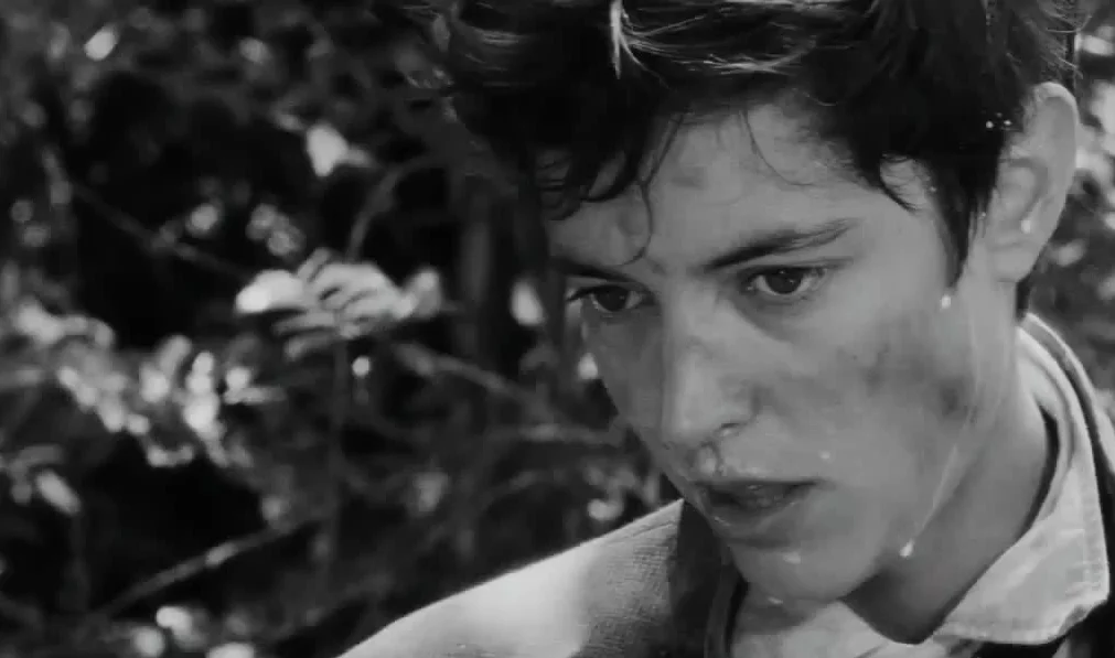 Maximum Whatever : la playlist maximaliste