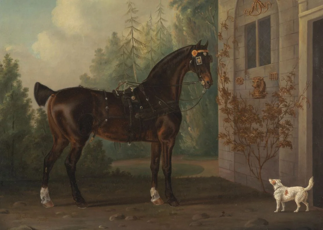 Tentative d'épuisement du traducteur par Claro 