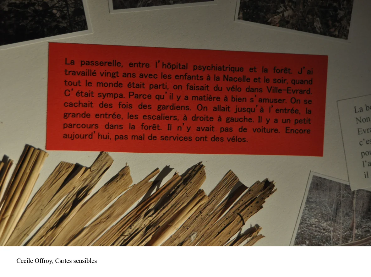 CecileOffroyCartessensibles2.jpg