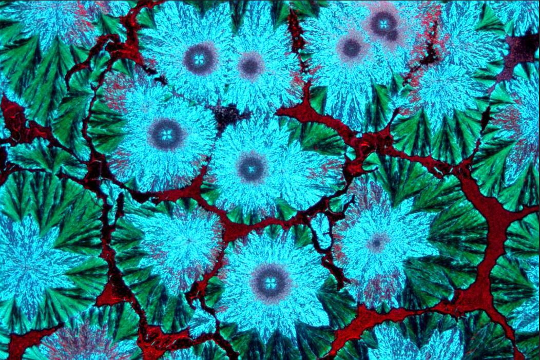 Questionner la terre à La Gacilly 1/2 