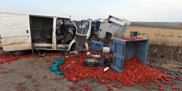 Tués par la tomate : Ecce homo ! 