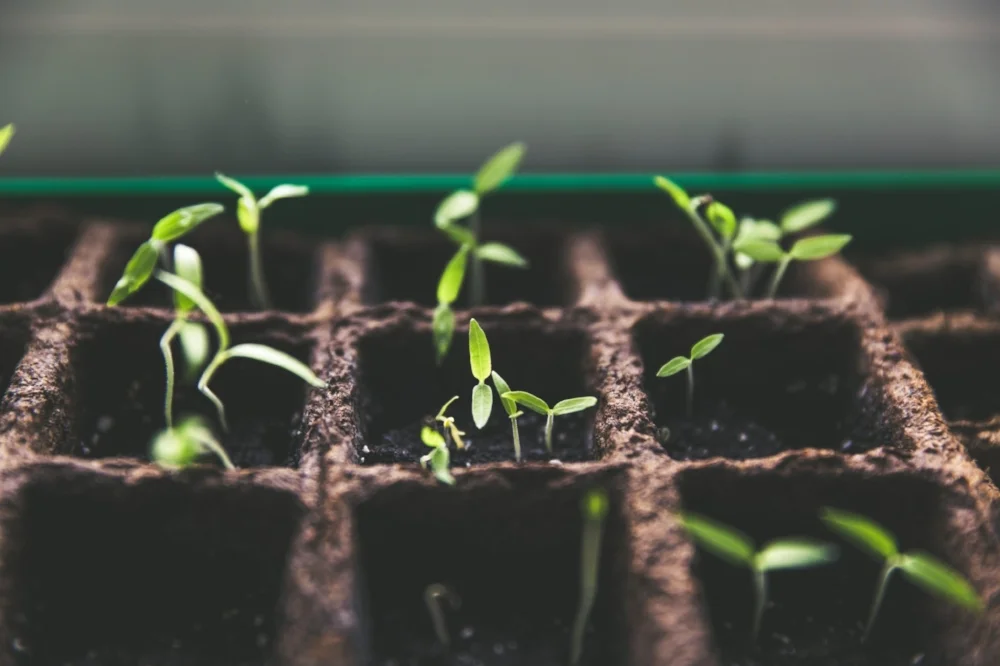 Nous devrions être les jardiniers de cette planète