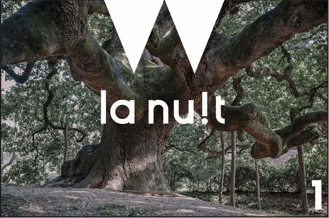 La Nuit, les arbres et nous. au sommaire de notre mensuel
