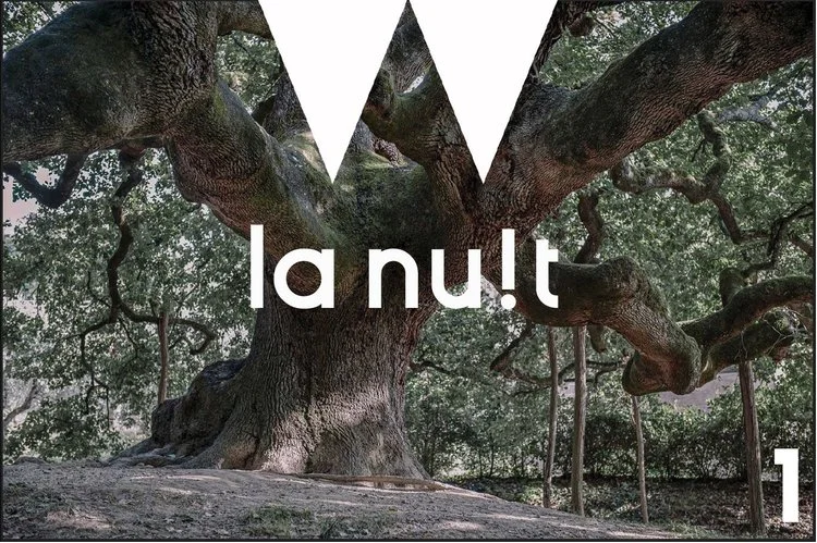 lanuitcover (1).jpg