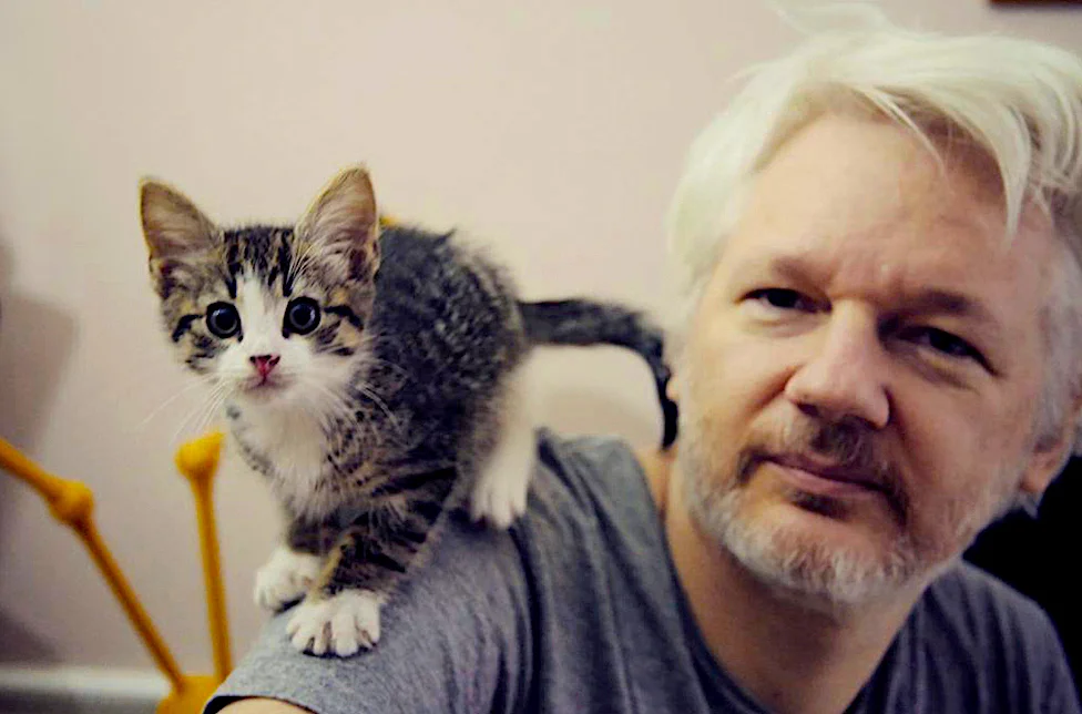 Il faut que la France accorde l’asile politique à Julian Assange 