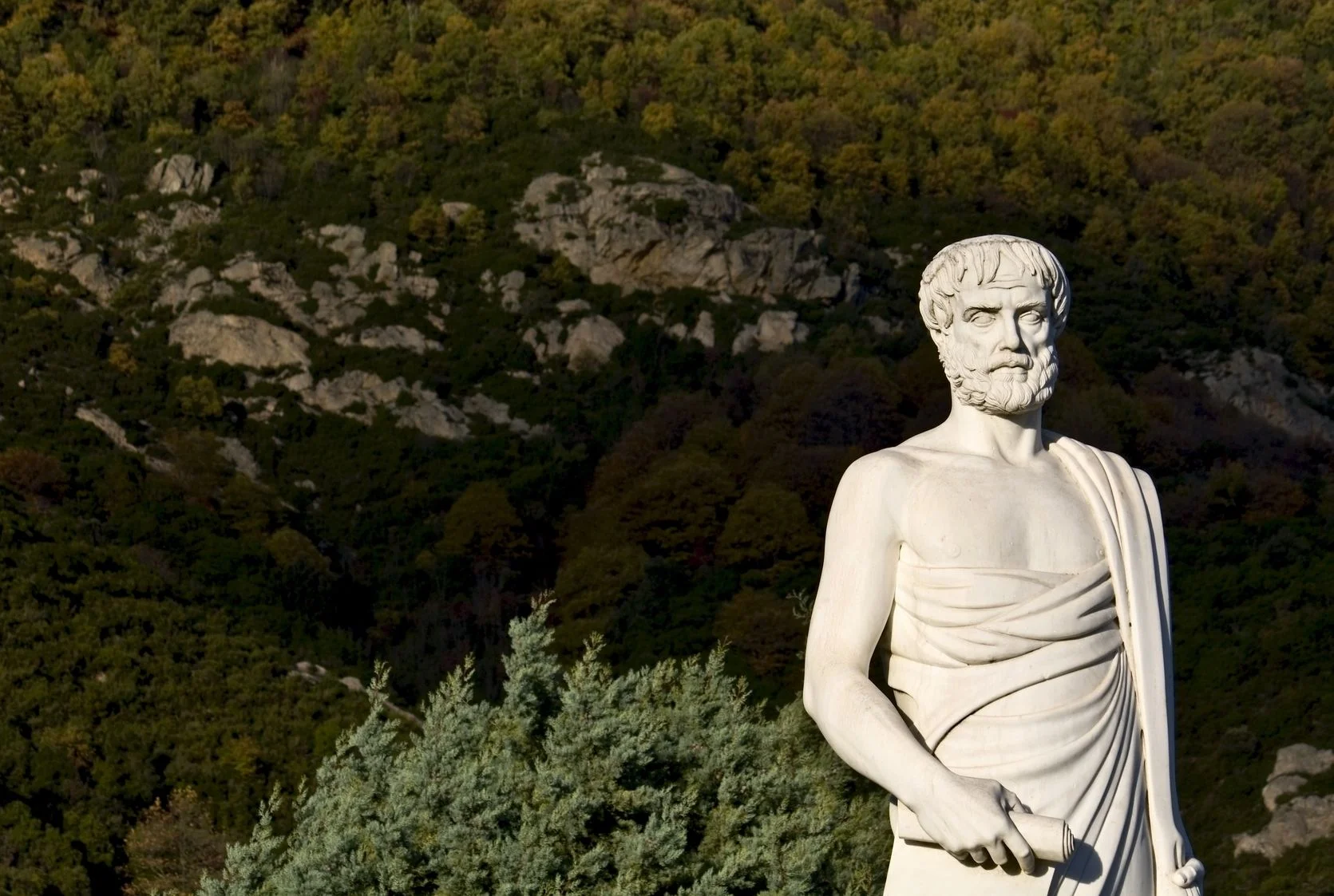 Aristote, qui a vu naître la monnaie, annonçait déjà les dangers de la spéculation et de l'usure