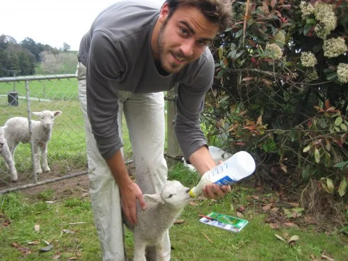 Connaissez-vous le wwoofing ? Ou comment partager le quotidien des fermes bio