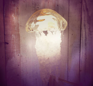 Malheur au cachalot qui se battrait contre un pou