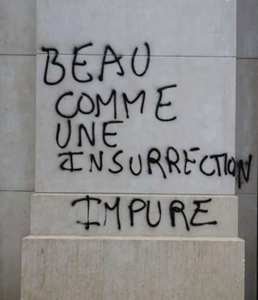 Beau comme une insurrection impure, par Luis Casado