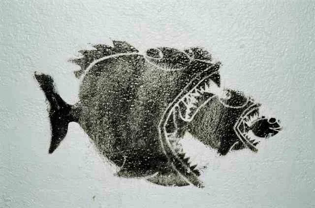 La tentation du darwinisme social : que faire des gilets jaunes et des perdants ?