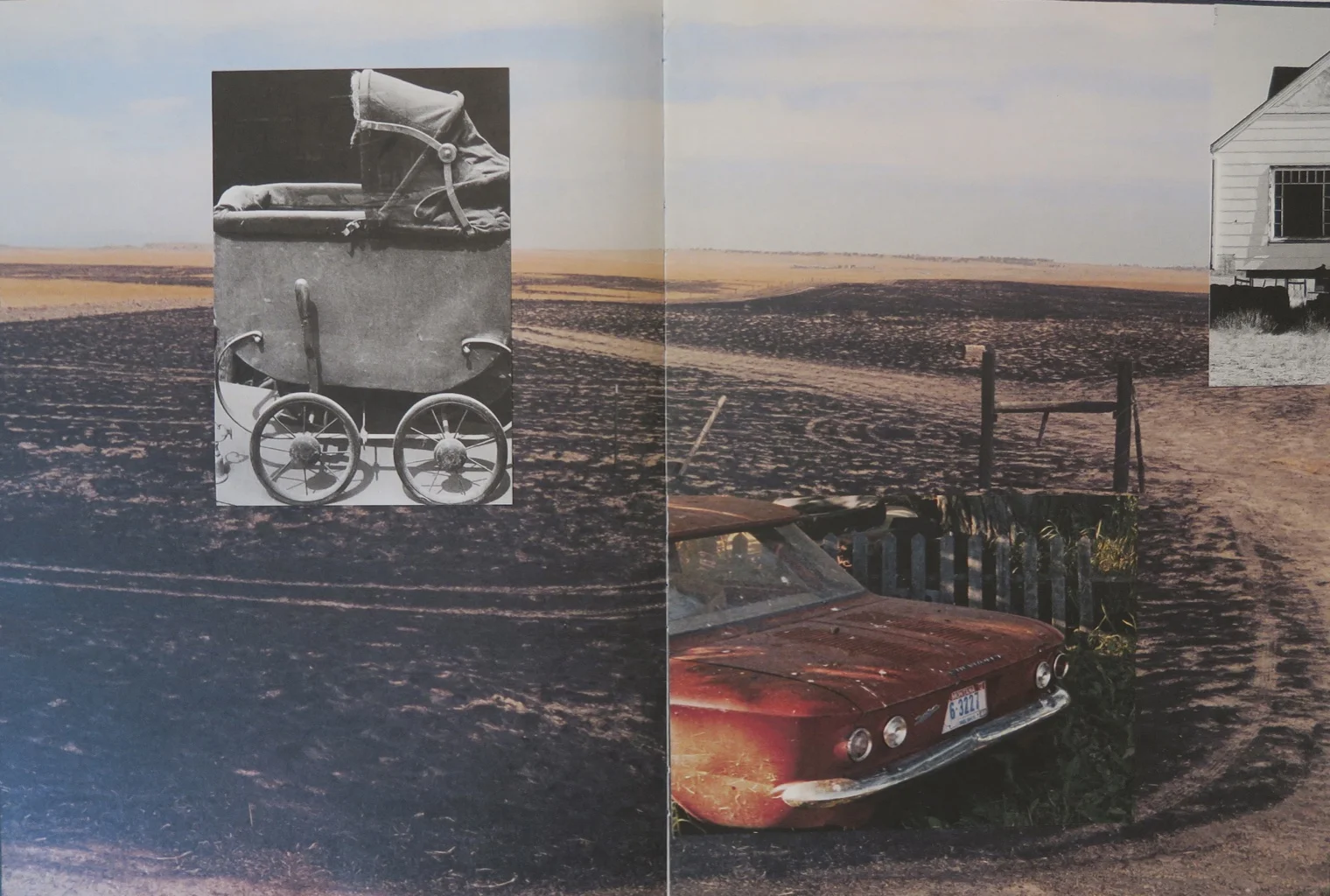 Stéphane Duroy : de la photographie à la peinture