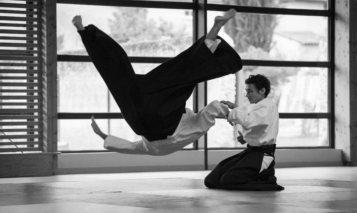 aikido.jpg