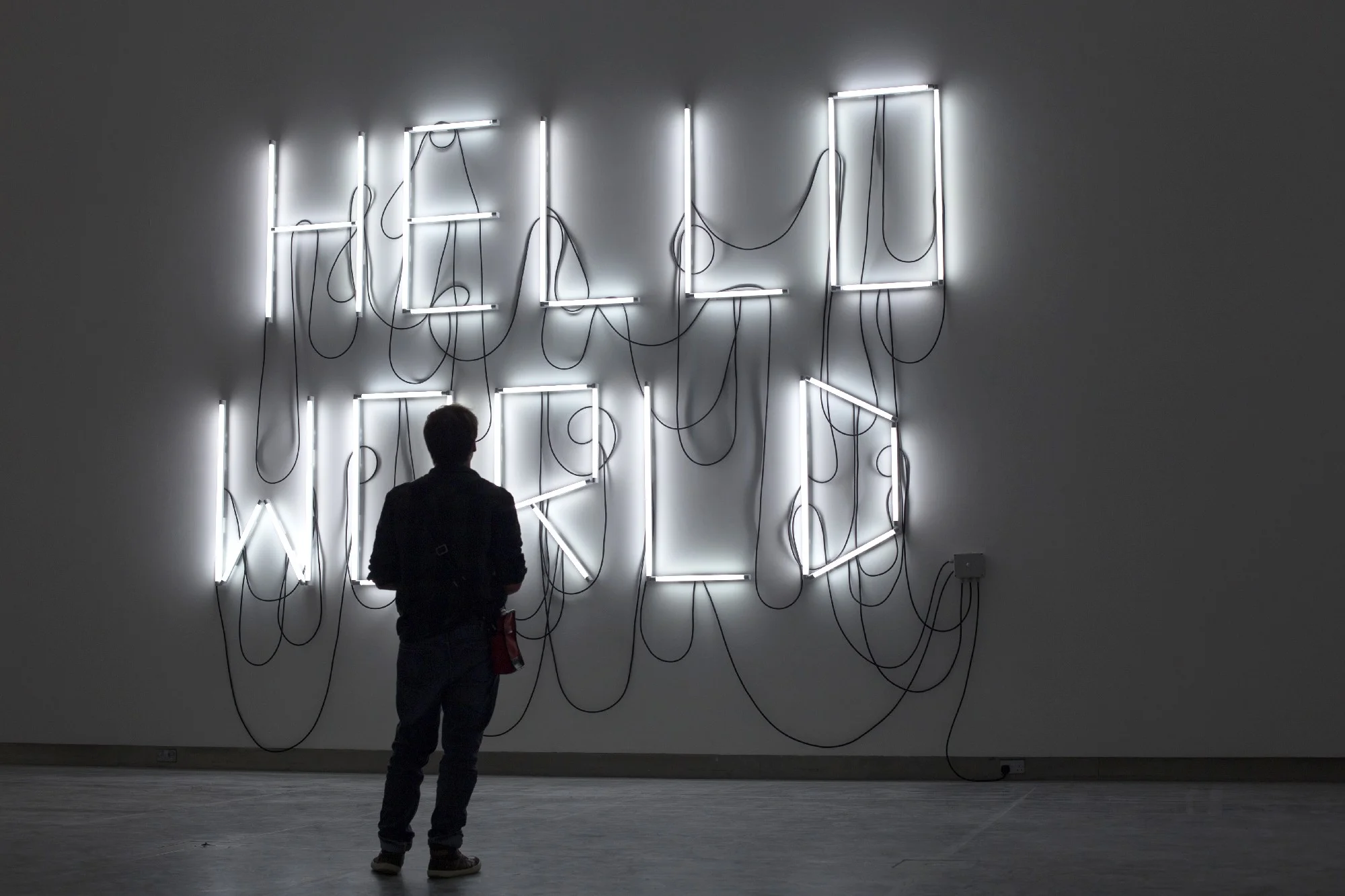 Fabien Léaustic , HELLO WORLD, 2016, sélectionnée par Dominique Moulon