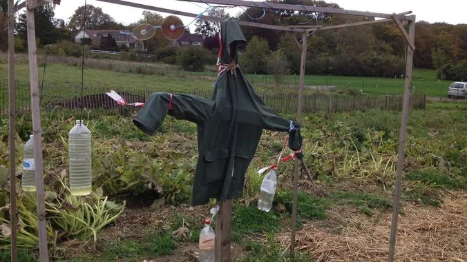 Bienvenue dans l'horreur de votre futur géré par Foogle …&nbsp;