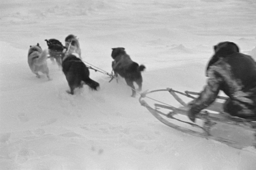 Zones blanches et quête éternelle des Pôles :  de belles histoires déconcertantes d'exploration et d'errances 