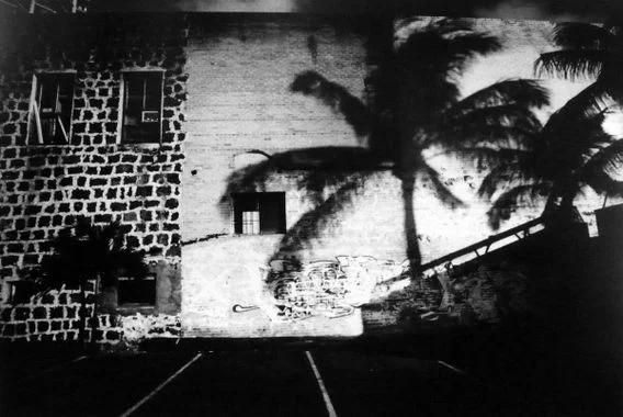 Daido Moriyama.jpg